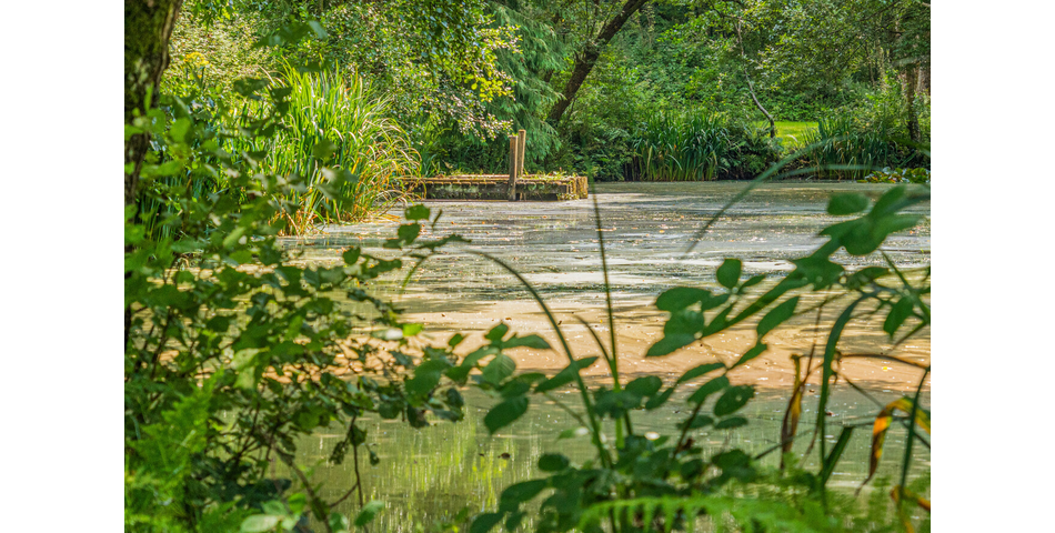 4.78 ACRE PLOT OF LAND WITH POND. VIDEO AVAILABLE. STOCKED LAKE.