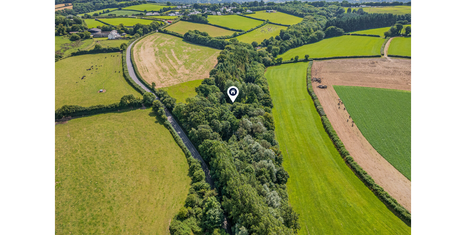 4.78 ACRE PLOT OF LAND WITH POND. VIDEO AVAILABLE. STOCKED LAKE.