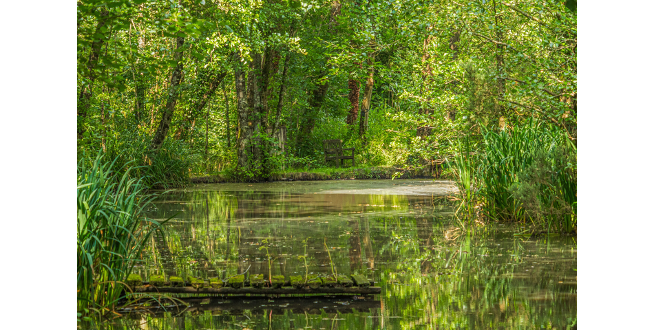 4.78 ACRE PLOT OF LAND WITH POND. VIDEO AVAILABLE. STOCKED LAKE.