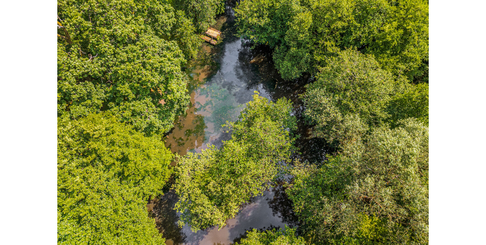 4.78 ACRE PLOT OF LAND WITH POND. VIDEO AVAILABLE. STOCKED LAKE.