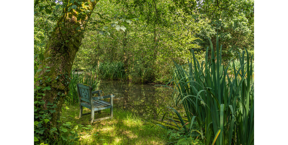 4.78 ACRE PLOT OF LAND WITH POND. VIDEO AVAILABLE. STOCKED LAKE.