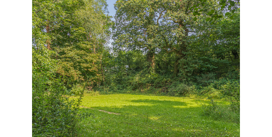4.78 ACRE PLOT OF LAND WITH POND. VIDEO AVAILABLE. STOCKED LAKE.
