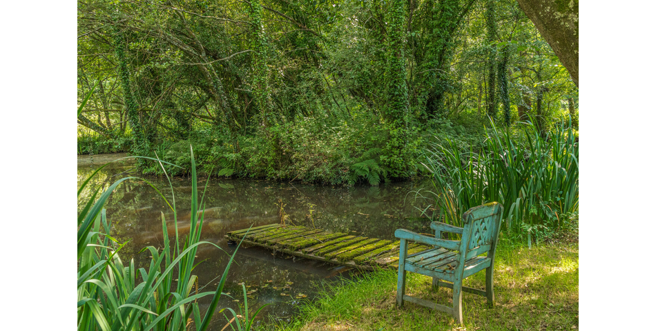 4.78 ACRE PLOT OF LAND WITH POND. VIDEO AVAILABLE. STOCKED LAKE.
