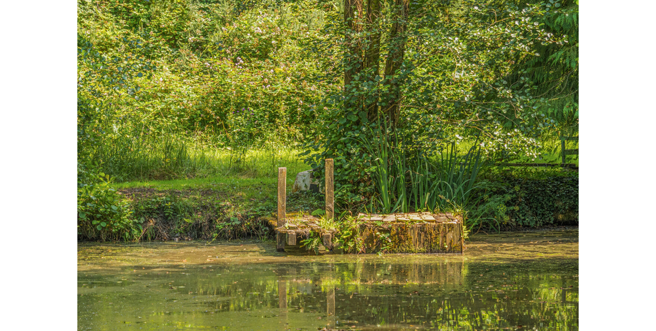 4.78 ACRE PLOT OF LAND WITH POND. VIDEO AVAILABLE. STOCKED LAKE.