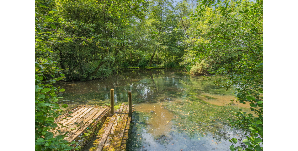 4.78 ACRE PLOT OF LAND WITH POND. VIDEO AVAILABLE. STOCKED LAKE.