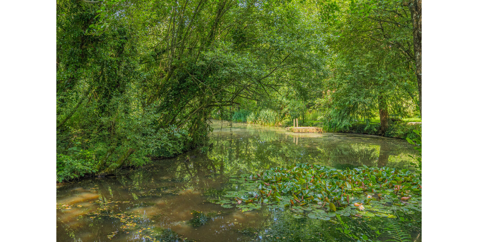 4.78 ACRE PLOT OF LAND WITH POND. VIDEO AVAILABLE. STOCKED LAKE.