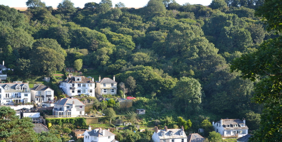 Land At Downs View