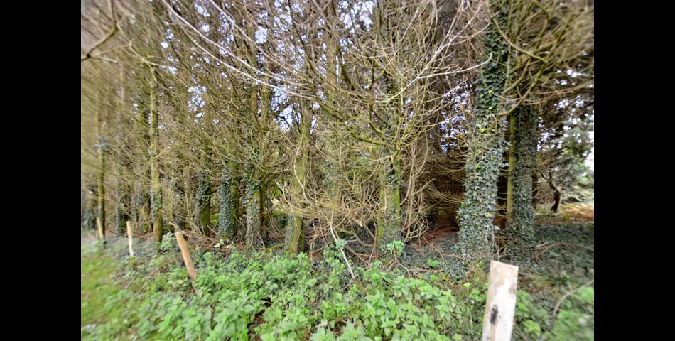 Parcel of land with stable block and vehicular access on outskirts of village