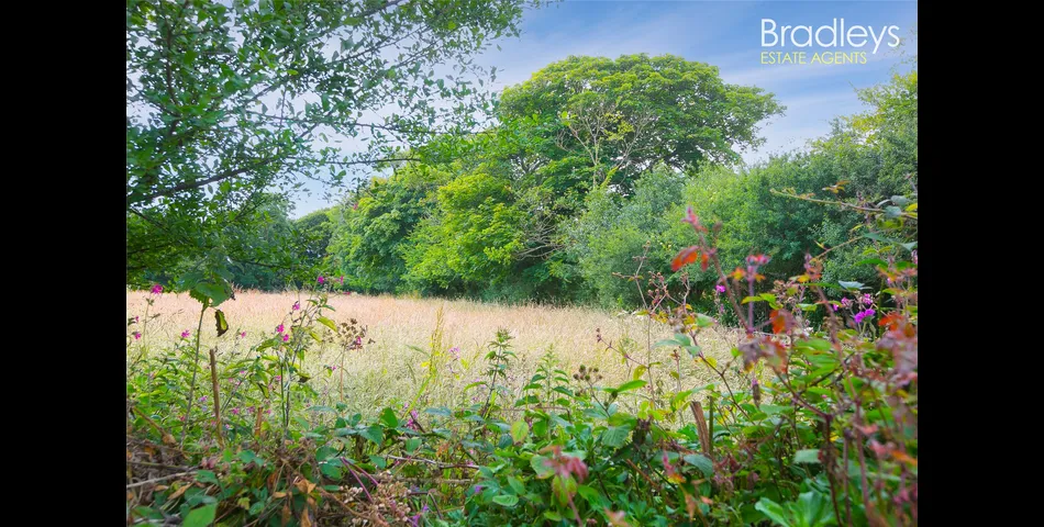 • 3 Bedrooms   •    • Grade II Listed   • Freehold   • Beautiful Location  •