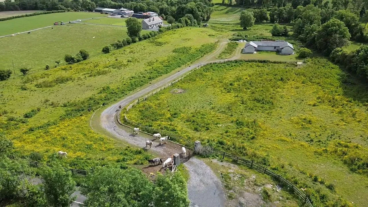 3.33 hectares at Slade Road, Saggart, Co. Dublin - Online Auctions