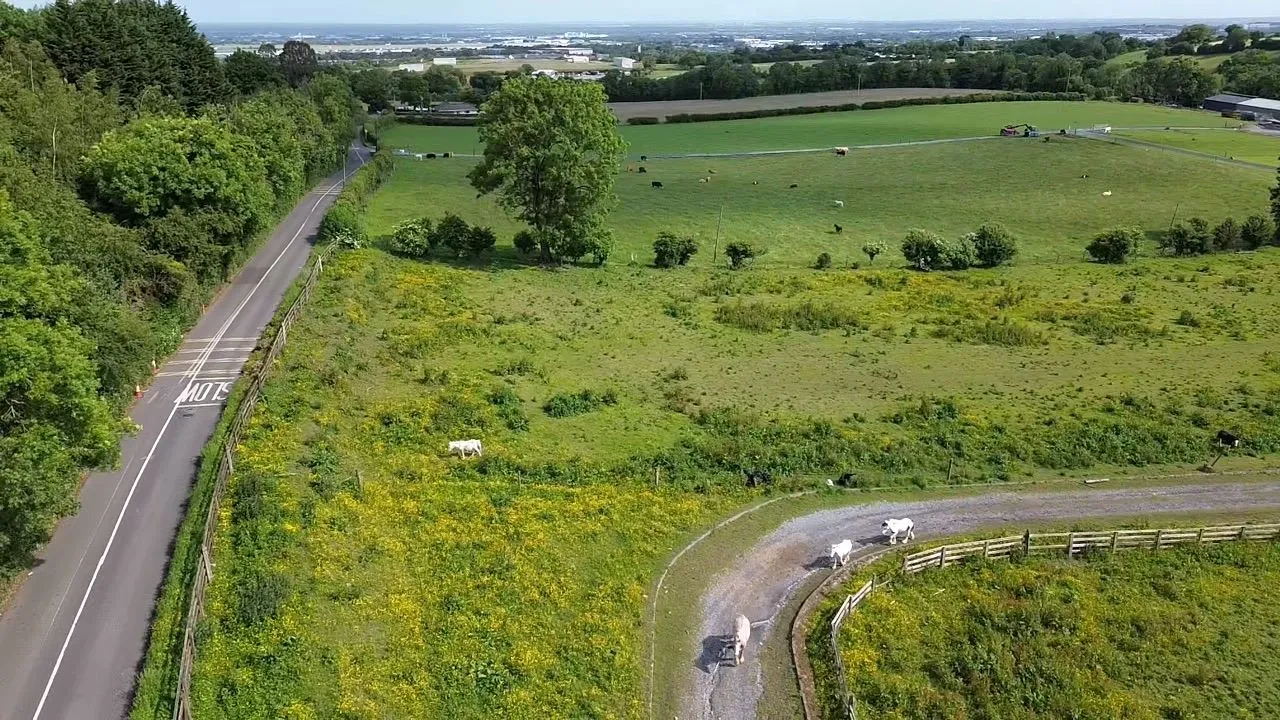 3.33 hectares at Slade Road, Saggart, Co. Dublin - Online Auctions
