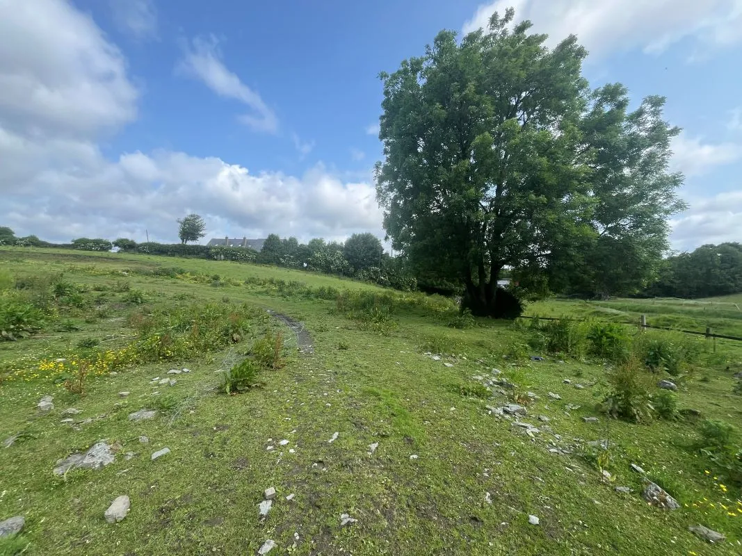 3.33 hectares at Slade Road, Saggart, Co. Dublin - Online Auctions