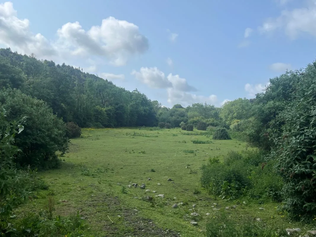 3.33 hectares at Slade Road, Saggart, Co. Dublin - Online Auctions