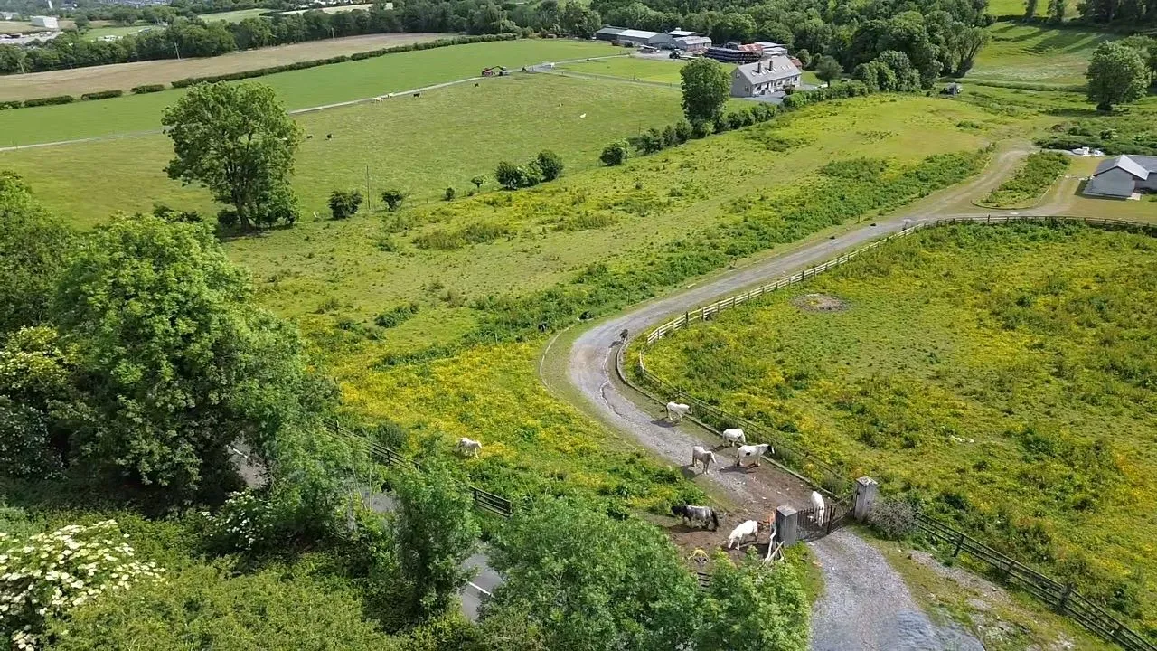 3.33 hectares at Slade Road, Saggart, Co. Dublin - Online Auctions