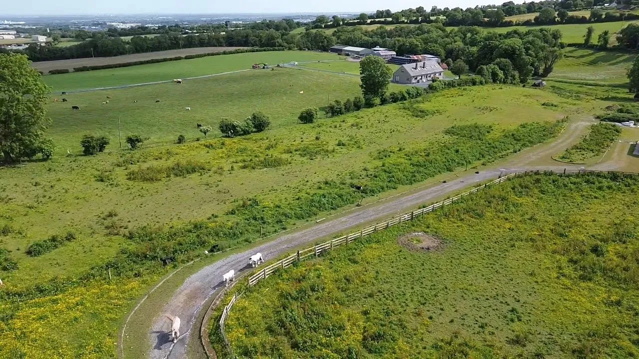 3.33 hectares at Slade Road, Saggart, Co. Dublin - Online Auctions