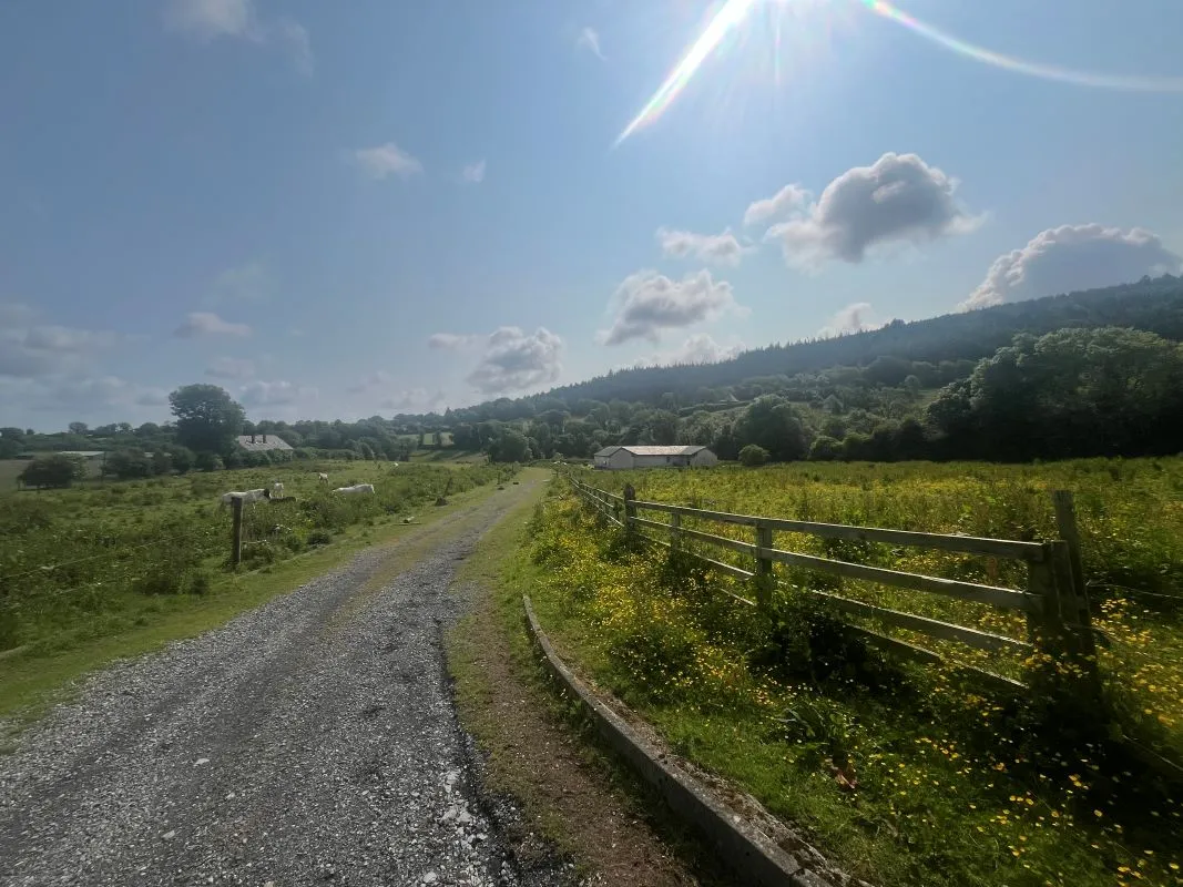 3.33 hectares at Slade Road, Saggart, Co. Dublin - Online Auctions
