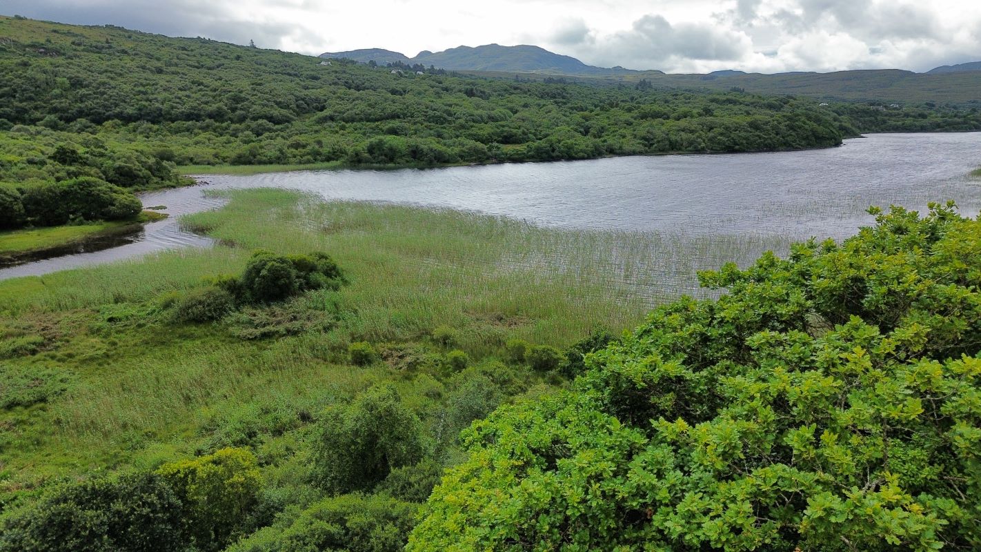 Toame, Carrigart, Co. Donegal, F92 A3W6 - Online Auctions
