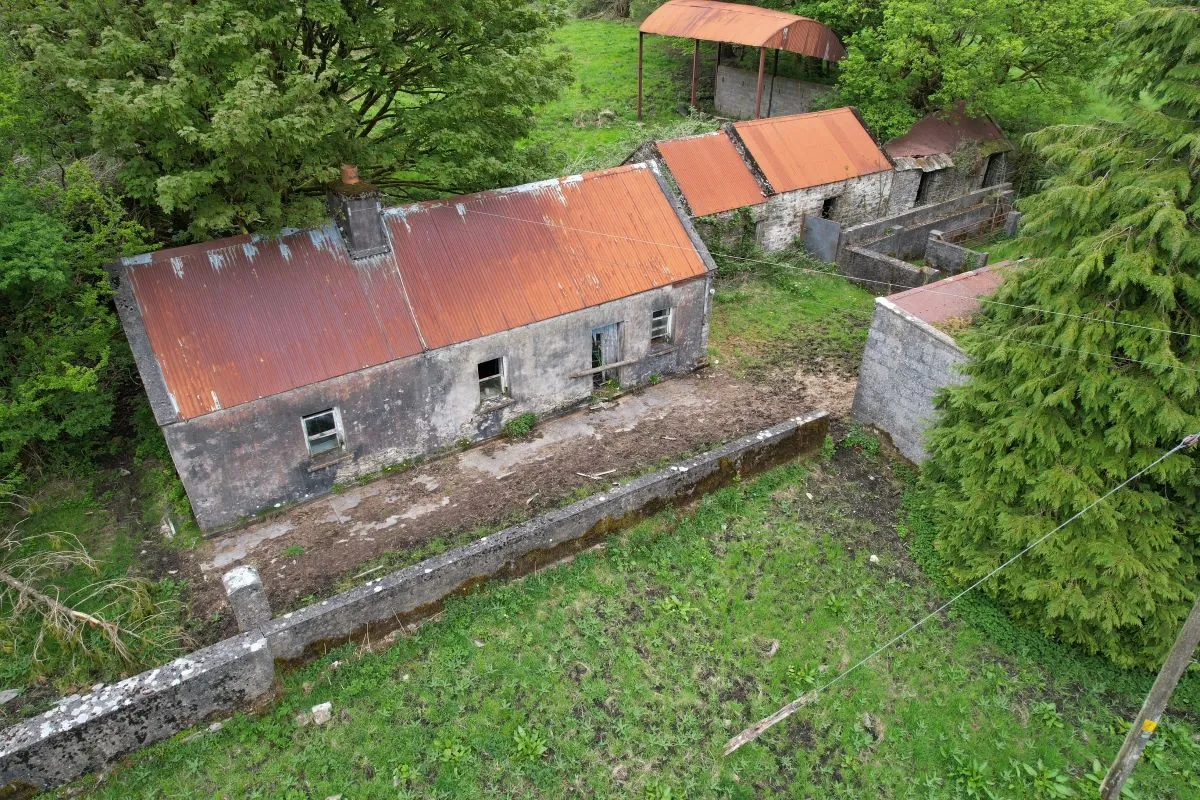 Circa 16.5 Acres, Cottage & Outbuildings at, Lisesker, Kilkelly, Mayo, F35 RP23 - Online Auctions