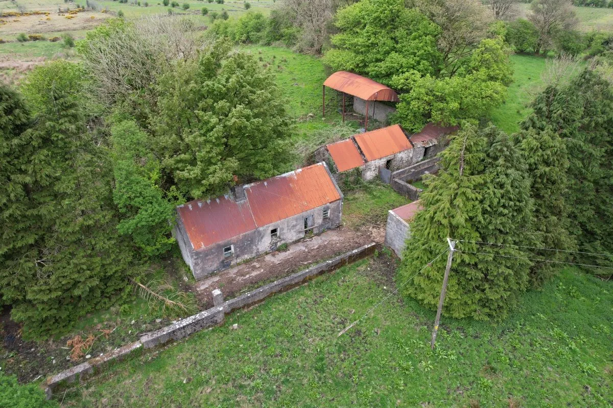 Circa 16.5 Acres, Cottage & Outbuildings at, Lisesker, Kilkelly, Mayo, F35 RP23 - Online Auctions