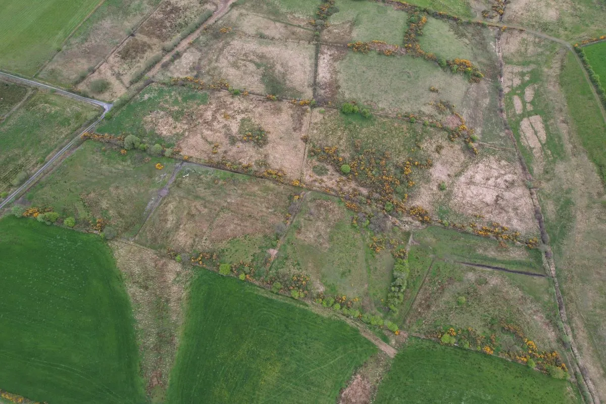 Circa 16.5 Acres, Cottage & Outbuildings at, Lisesker, Kilkelly, Mayo, F35 RP23 - Online Auctions