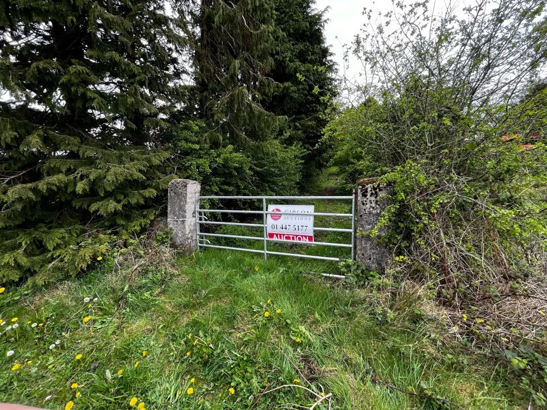 Circa 16.5 Acres, Cottage & Outbuildings at, Lisesker, Kilkelly, Mayo, F35 RP23 - Online Auctions