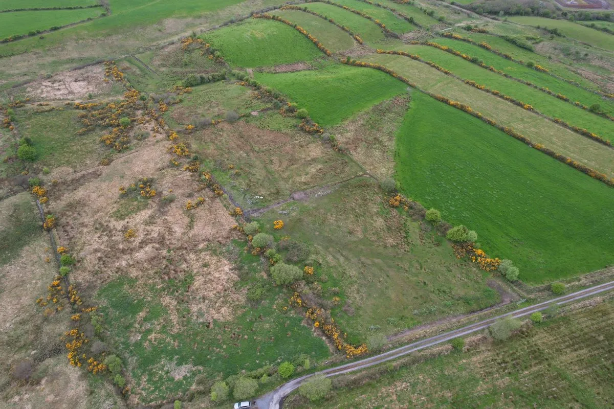 Circa 16.5 Acres, Cottage & Outbuildings at, Lisesker, Kilkelly, Mayo, F35 RP23 - Online Auctions