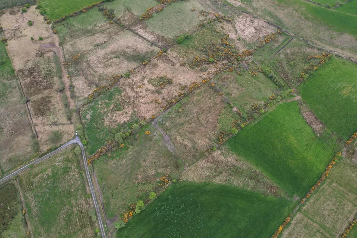 Circa 16.5 Acres, Cottage & Outbuildings at, Lisesker, Kilkelly, Mayo, F35 RP23 - Online Auctions