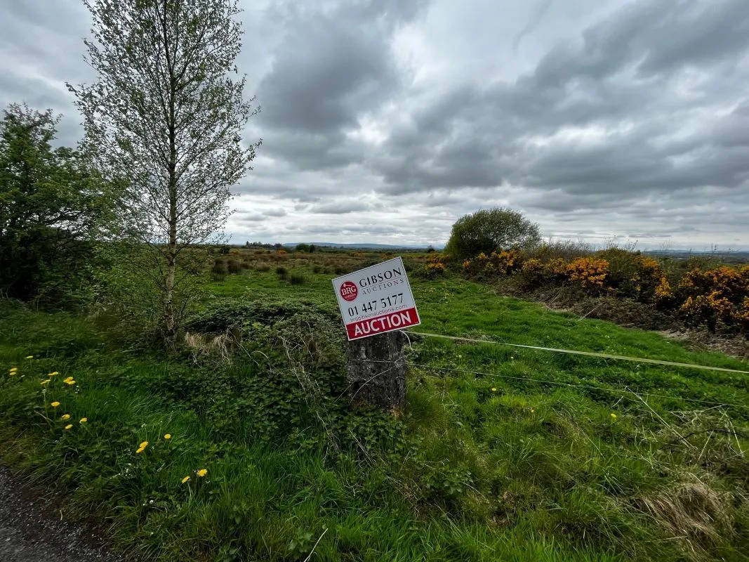 Circa 16.5 Acres, Cottage & Outbuildings at, Lisesker, Kilkelly, Mayo, F35 RP23 - Online Auctions