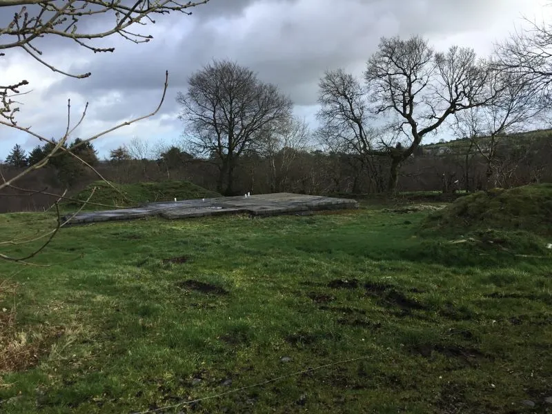 Palmira, Mullagh, Cavan - Online Auctions