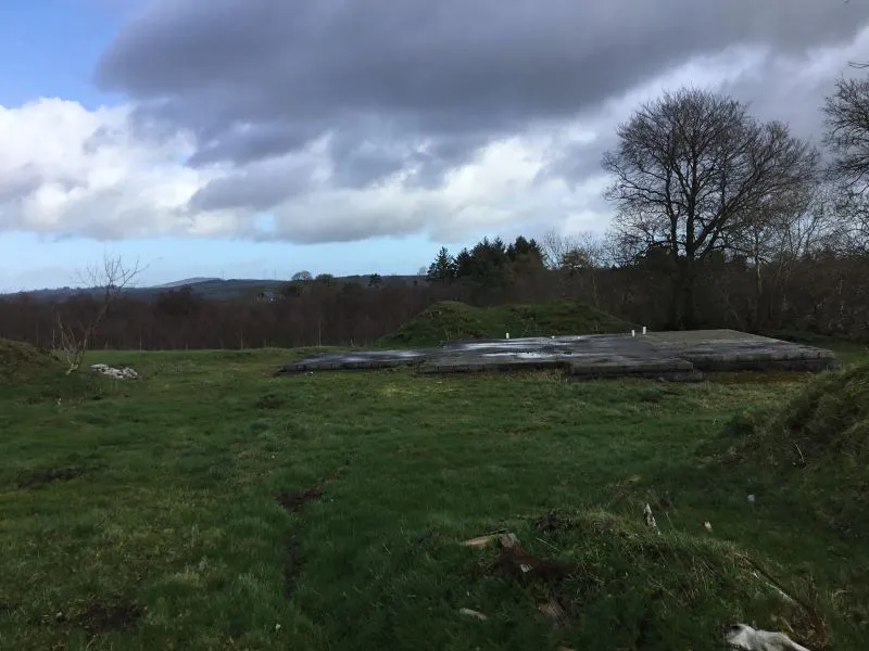 Palmira, Mullagh, Cavan - Online Auctions