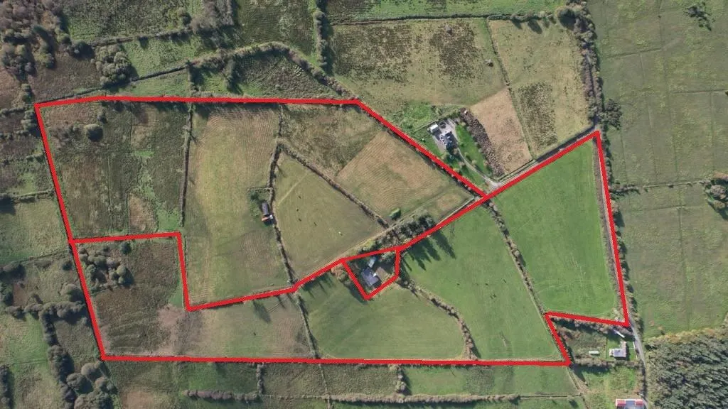 95.2 acres, at Farrangalliagh, Boyle, Roscommon - Online Auctions
