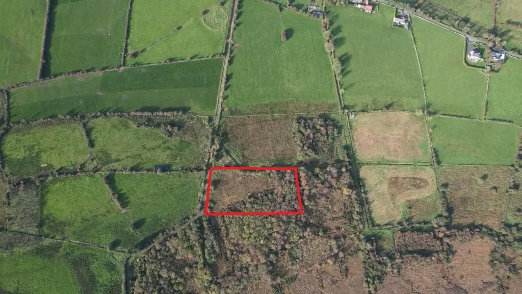 95.2 acres, at Farrangalliagh, Boyle, Roscommon - Online Auctions