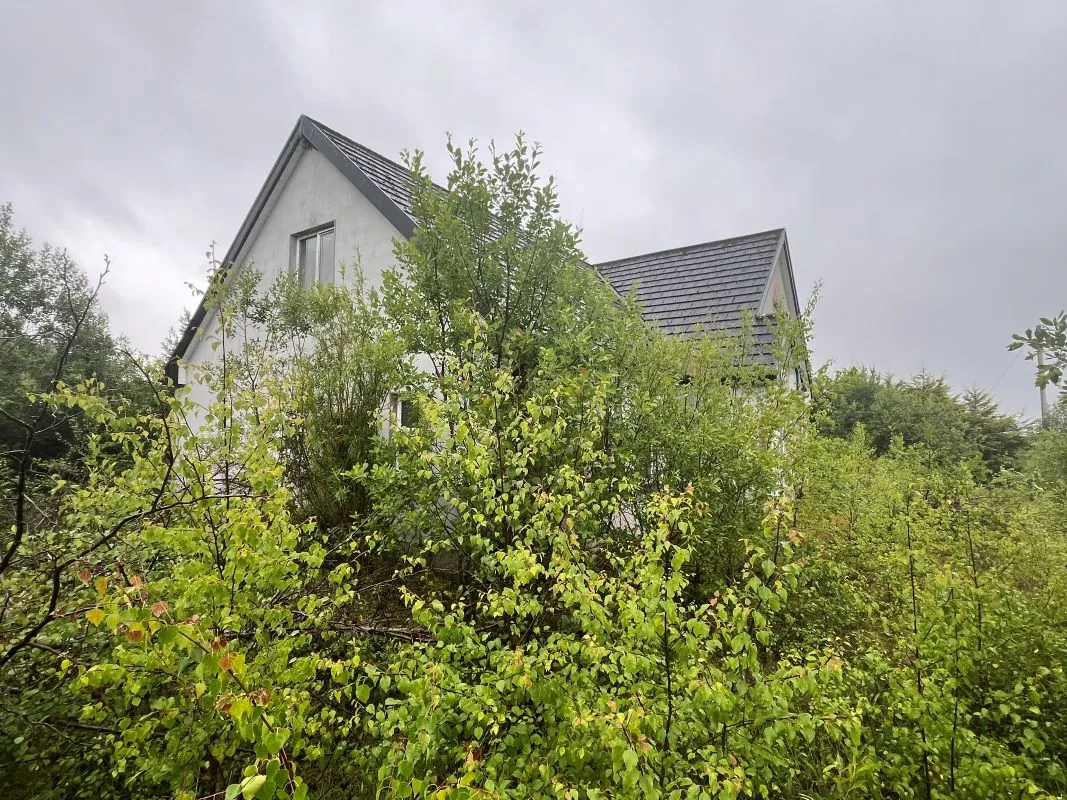 Stranamart, Blacklion, County Cavan, F91 A0H2 - Online Auctions