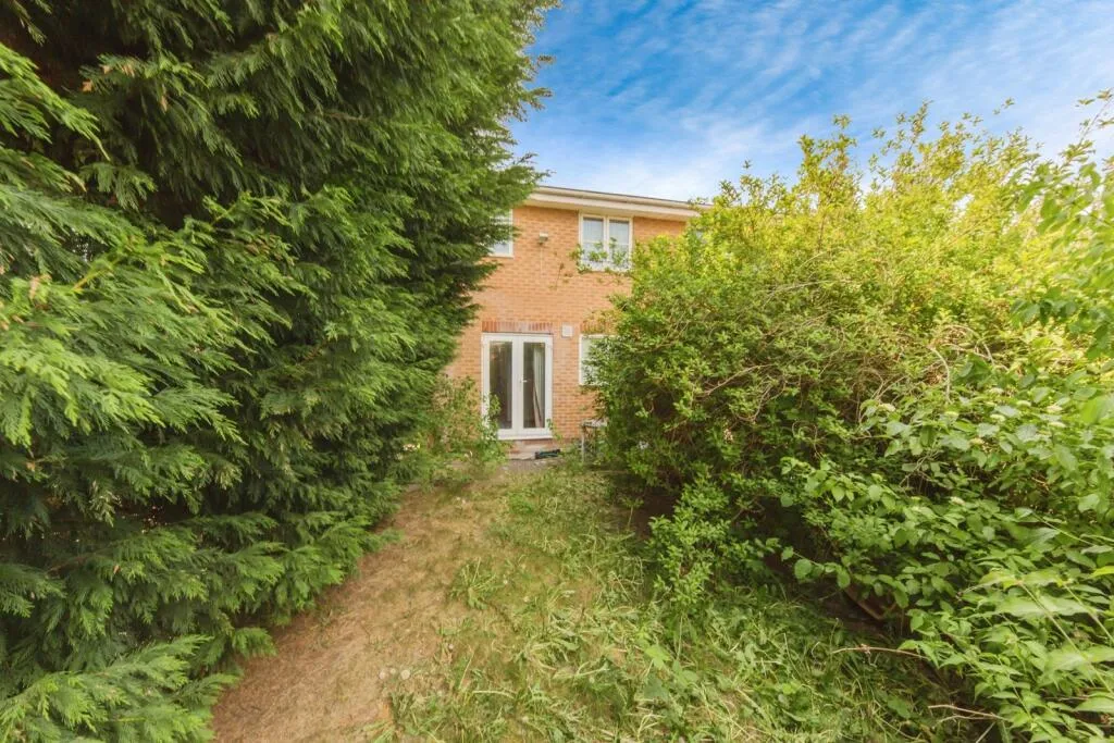3 bed Semi-Detached