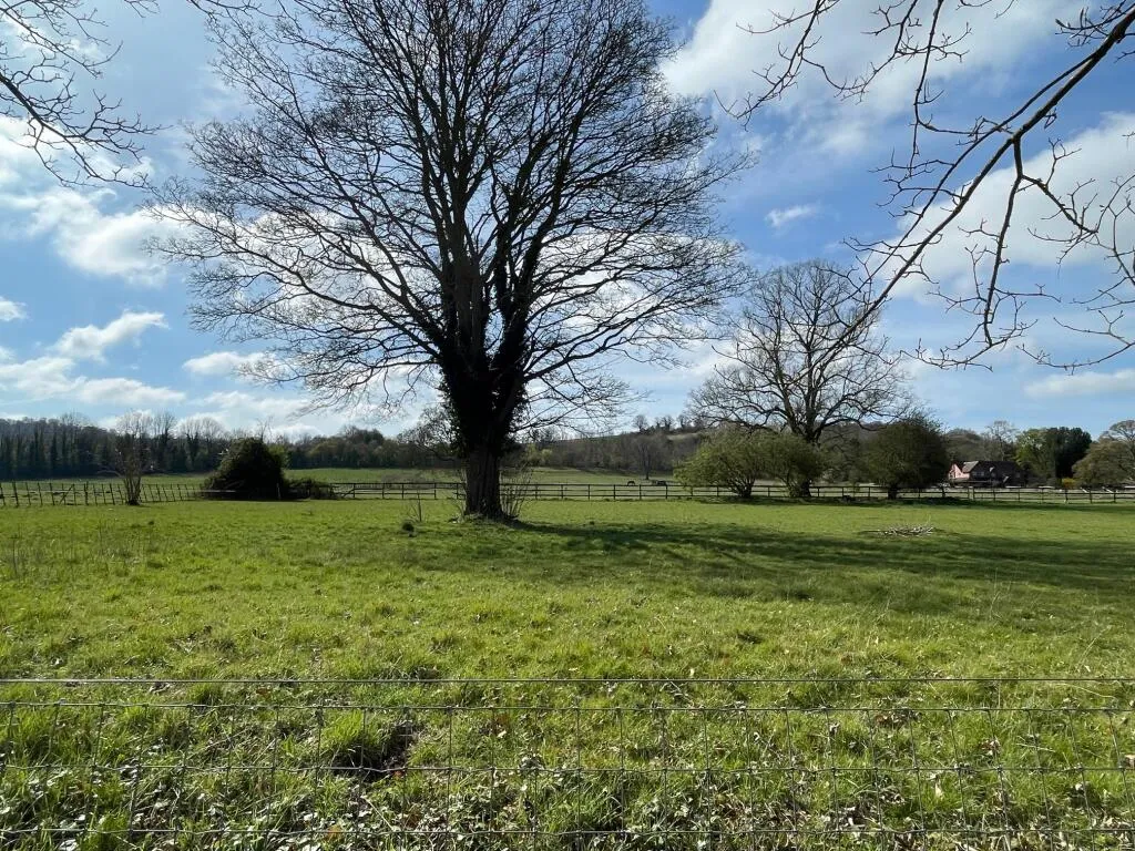 3 bed Terraced