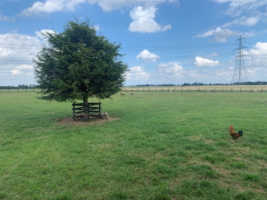 Foxhall Farm, Harps Hall Road, Walton Highway, Wisbech, Cambridgeshire, PE14 7DL - Online Auctions