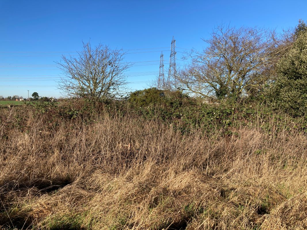 Mill Lane, Campsea Ashe, Woodbridge, Suffolk, IP13 0PW - Online Auctions