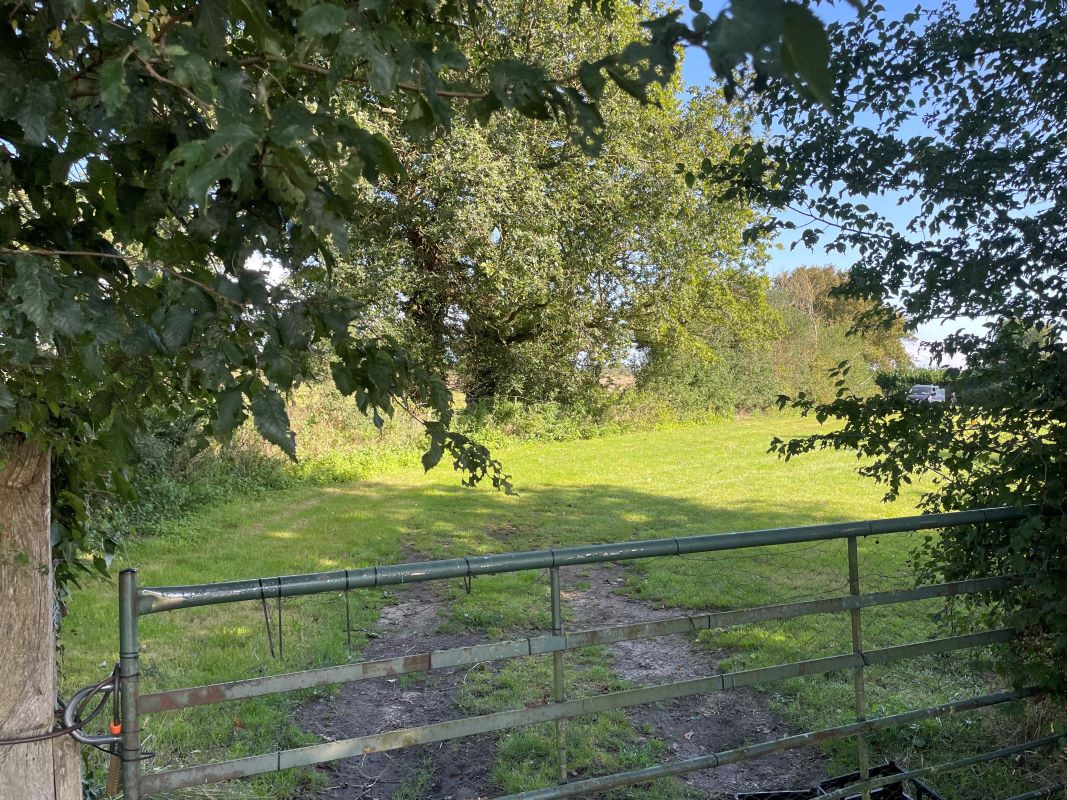 0.8 Acres Amenity Land, Bunwell Road, Besthorpe, Attleborough, Norfolk, NR17 2NZ - Online Auctions