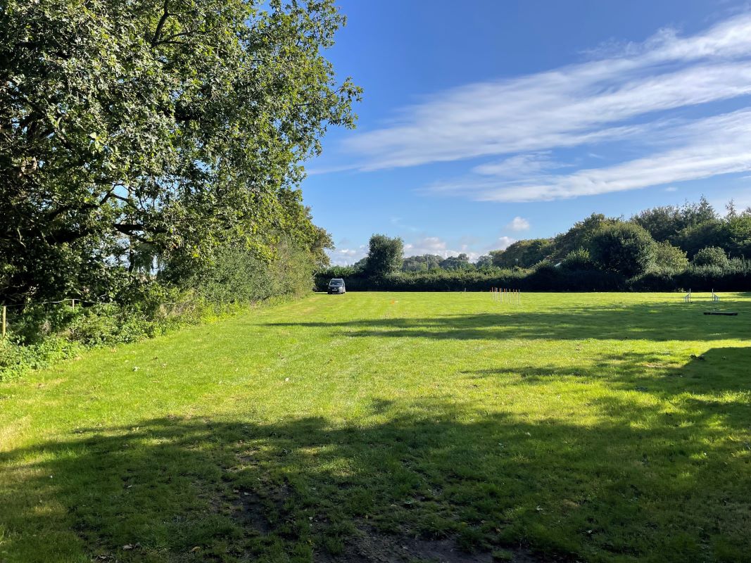 0.8 Acres Amenity Land, Bunwell Road, Besthorpe, Attleborough, Norfolk, NR17 2NZ - Online Auctions