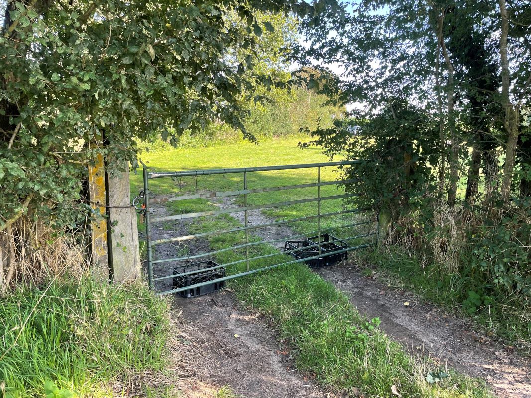 0.8 Acres Amenity Land, Bunwell Road, Besthorpe, Attleborough, Norfolk, NR17 2NZ - Online Auctions