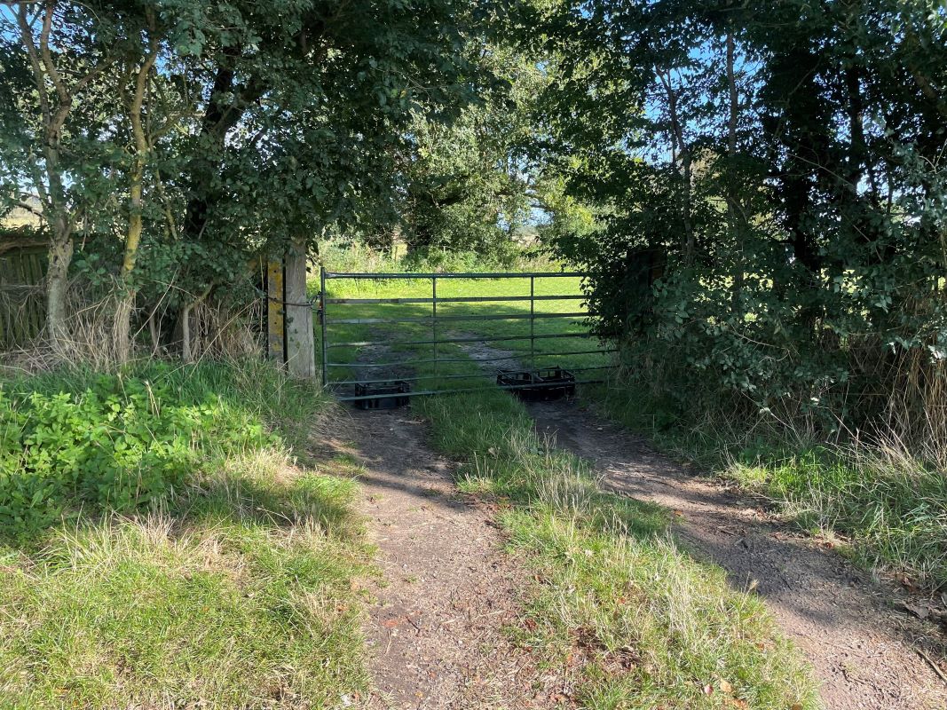 0.8 Acres Amenity Land, Bunwell Road, Besthorpe, Attleborough, Norfolk, NR17 2NZ - Online Auctions