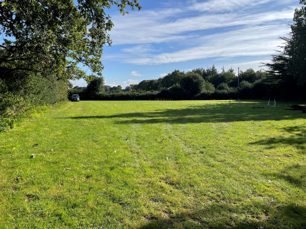0.8 Acres Amenity Land, Bunwell Road, Besthorpe, Attleborough, Norfolk, NR17 2NZ - Online Auctions