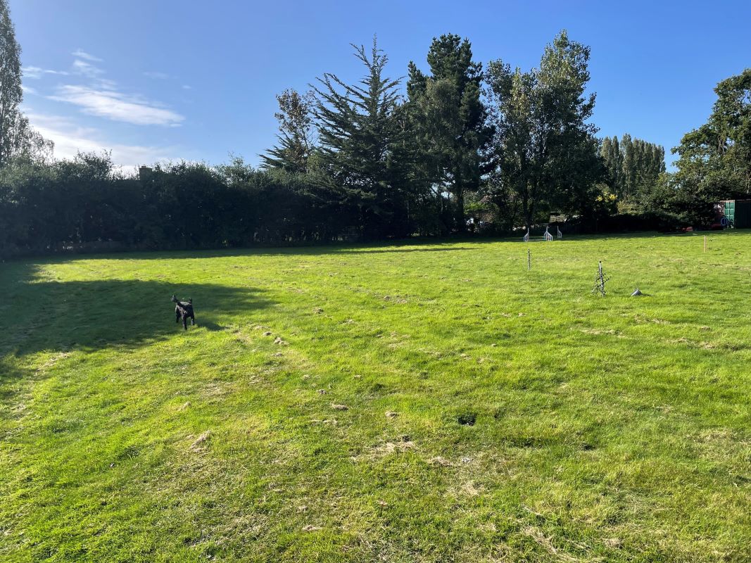 0.8 Acres Amenity Land, Bunwell Road, Besthorpe, Attleborough, Norfolk, NR17 2NZ - Online Auctions