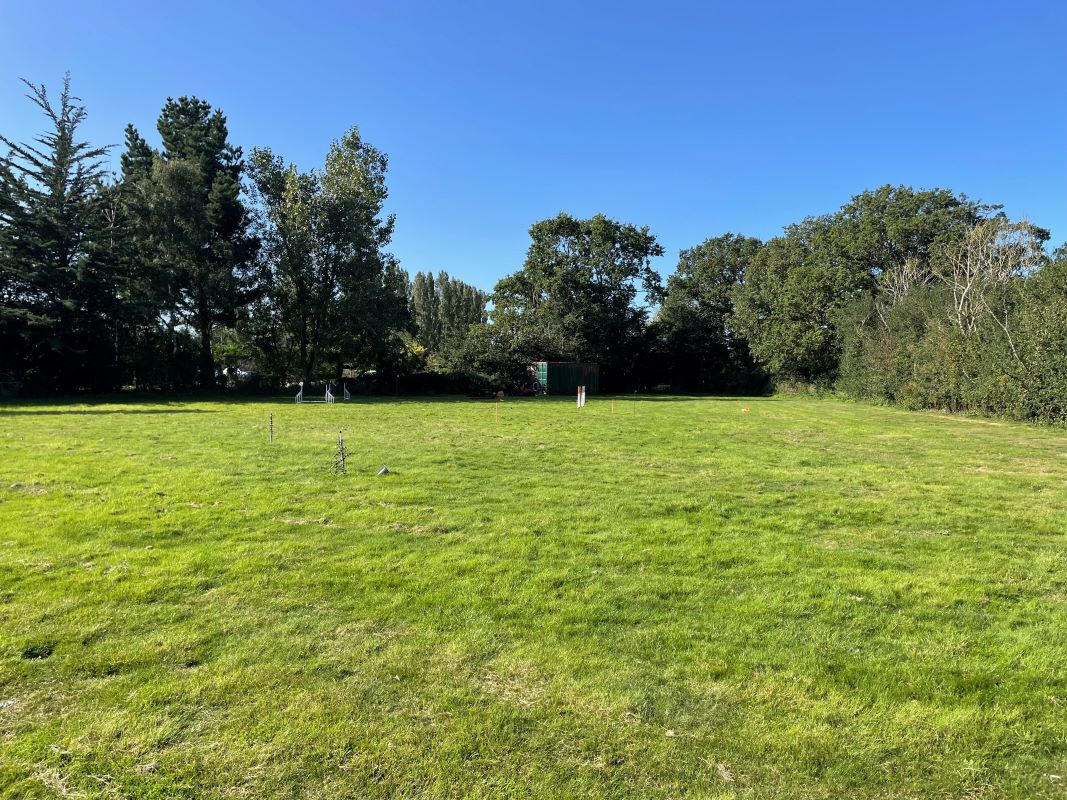 0.8 Acres Amenity Land, Bunwell Road, Besthorpe, Attleborough, Norfolk, NR17 2NZ - Online Auctions