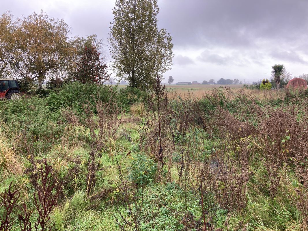 Main Road, Three Holes, Nr. Wisbech, Cambridgeshire, PE14 9JS - Online Auctions