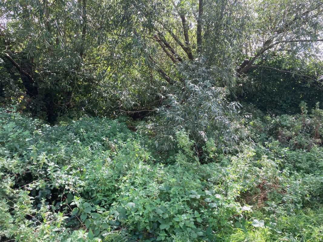 Tilney Road, East Tuddenham, Dereham, Norfolk, NR20 3LZ - Online Auctions