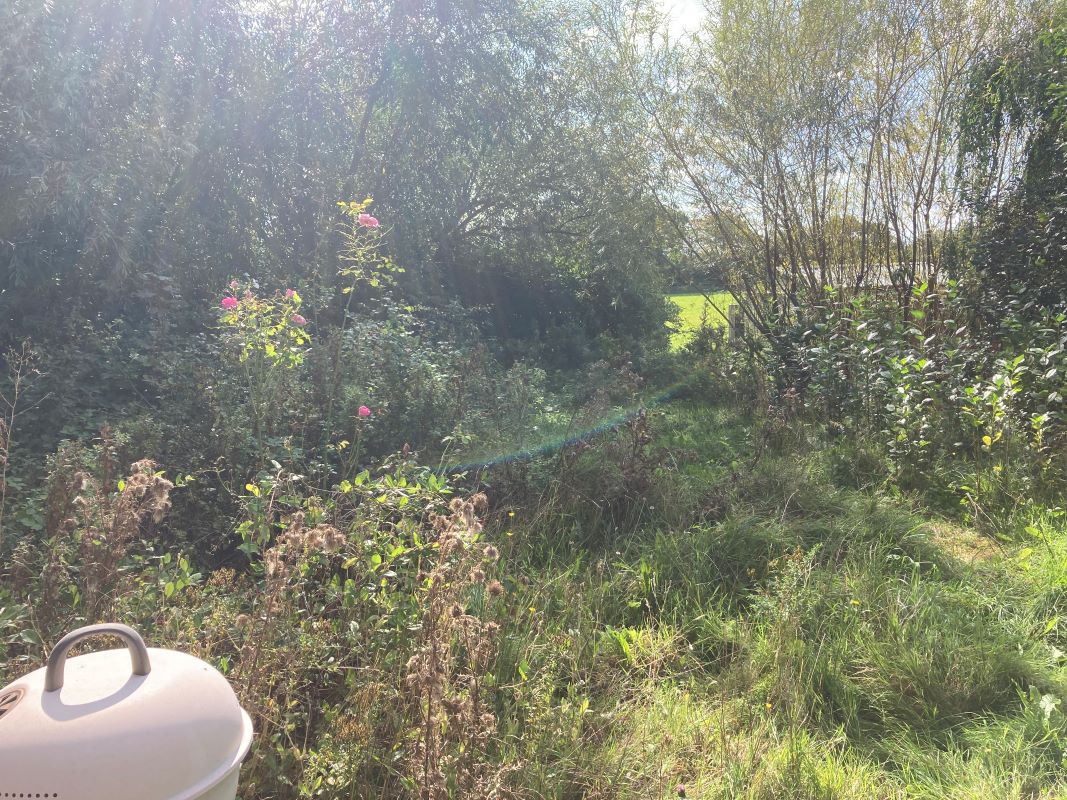 Tilney Road, East Tuddenham, Dereham, Norfolk, NR20 3LZ - Online Auctions