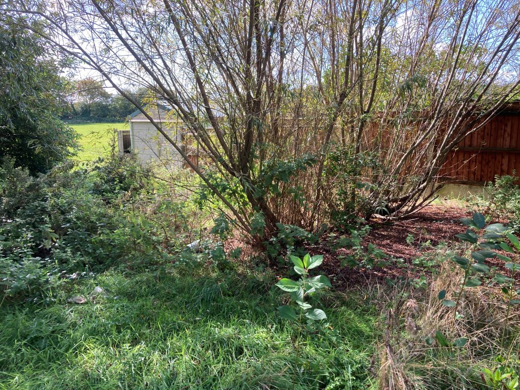 Tilney Road, East Tuddenham, Dereham, Norfolk, NR20 3LZ - Online Auctions
