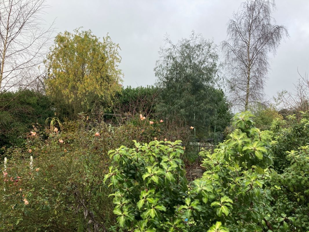 Market Street, Shipdham, Thetford, Norfolk, IP25 7LZ - Online Auctions