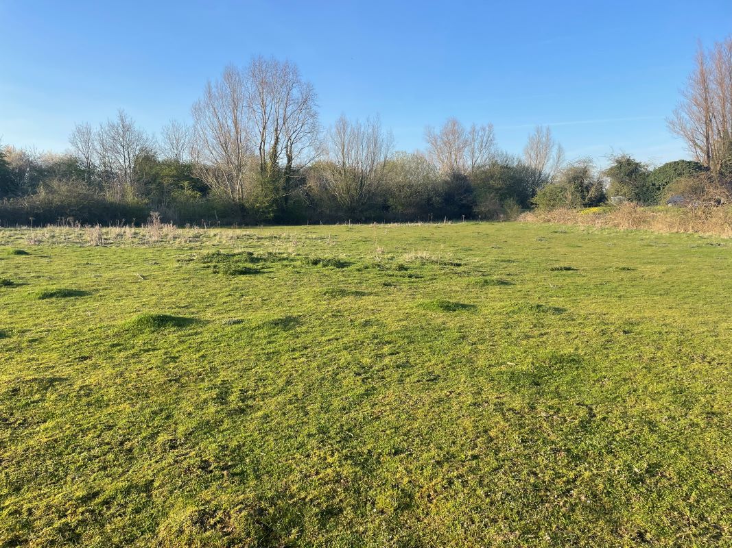 Parcel of Land, Church Road, Tilney St Lawrence, Norfolk, PE34 4QG - Online Auctions